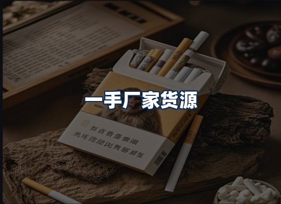 专业团队办公环境